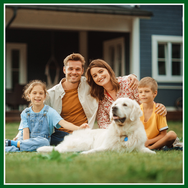 Rumble Pest Solutions
